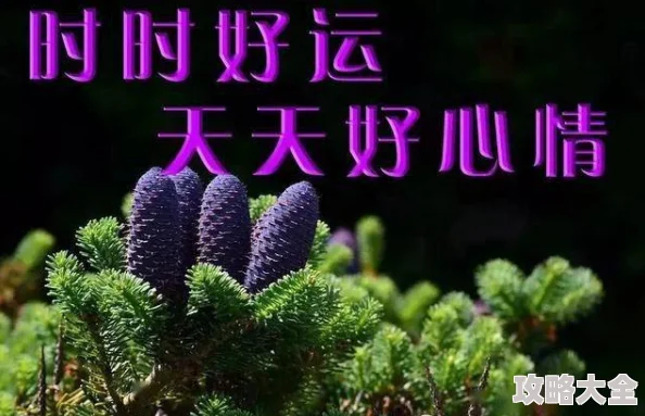 忘忧草wyc.apk敌对边境携手共进迎接和平与希望的未来