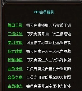 VGAME新手必看：2024热门快速升级技巧与全面玩法攻略