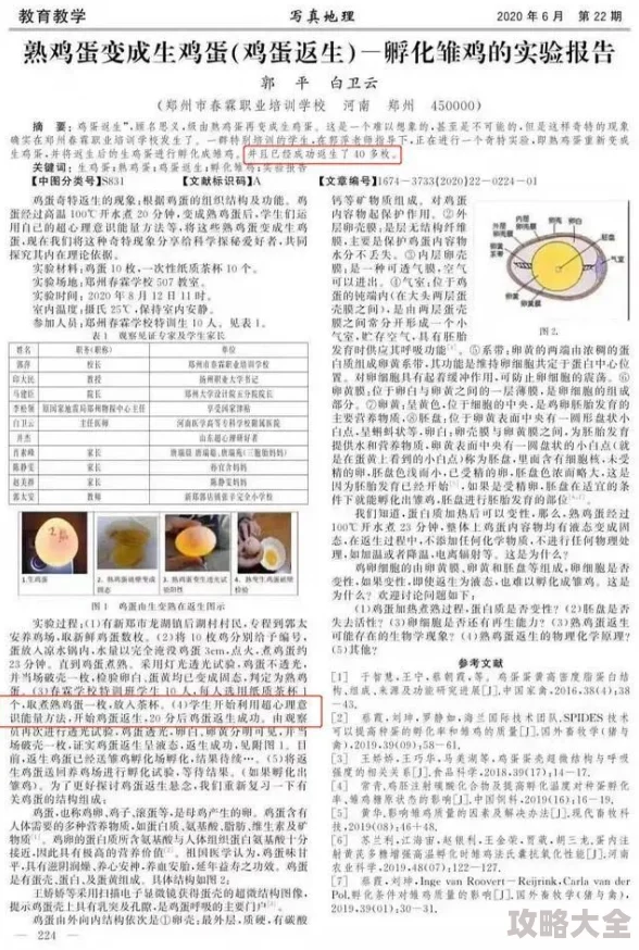 青词的玄色霓裳研究取得新突破论文已完成初稿