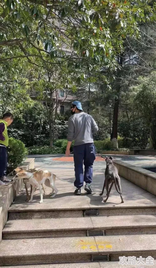 朝阳吃瓜群众疑似小区内目击明星遛狗未牵绳引发热议