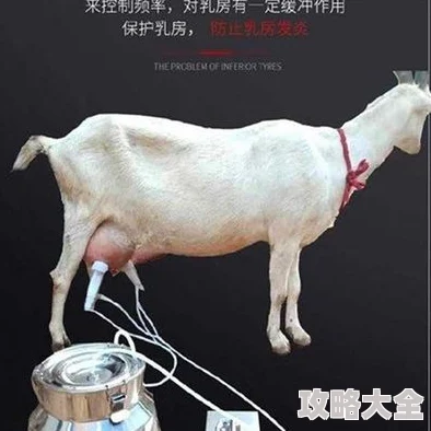 调教套上奶牛榨乳器喷奶水bl