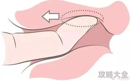 天天插天天爽为何让人乐此不疲因为它操作便捷且效果快速