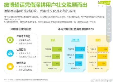 为何亚洲精品免费观看社区互动良好用户体验更佳