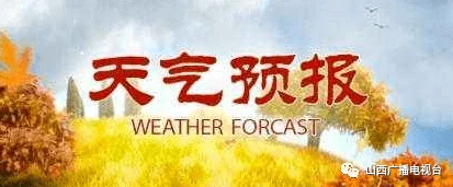 为什么它让人欲罢不能为何引发广泛讨论国产黃色A片三区三区三小说大胆突破禁忌引人深思